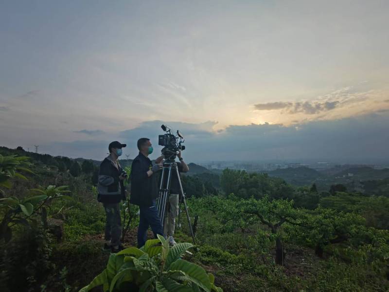 平利县广告片制作：用专业整合能力，解锁品牌传播新势能